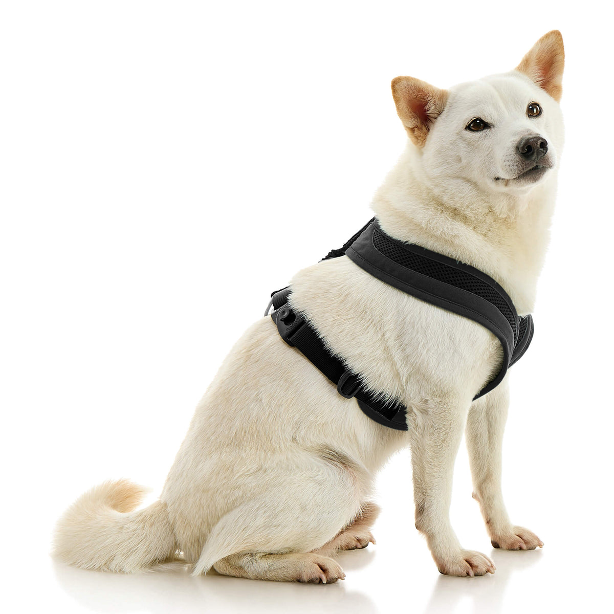 Escape Free Comfort X One