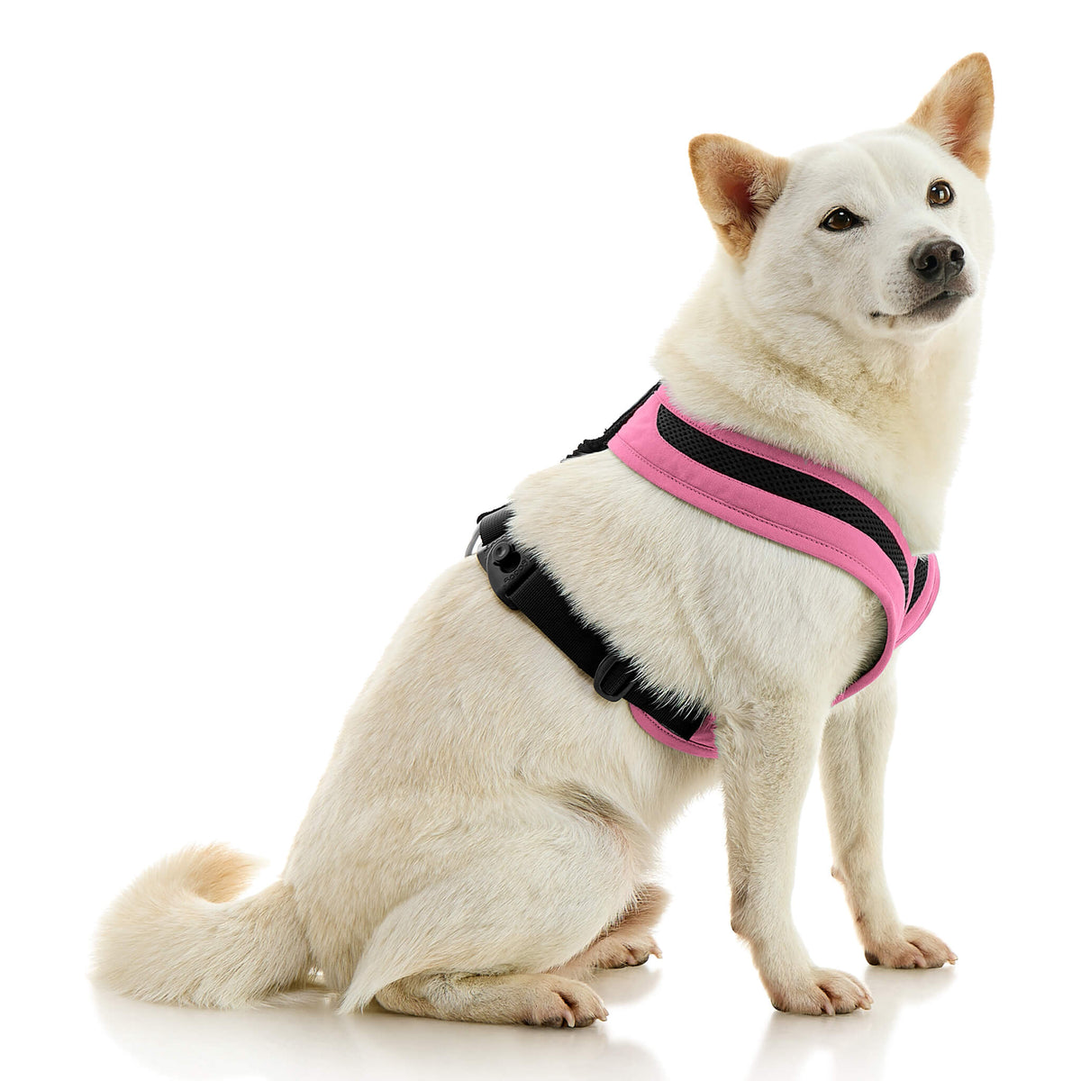 Escape Free Comfort X One