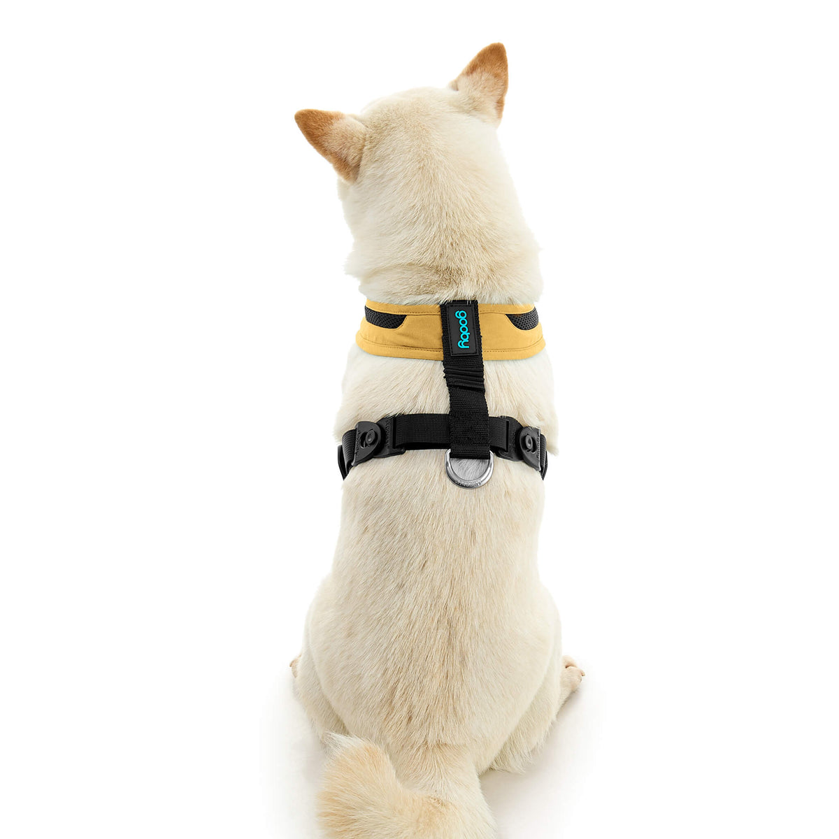 Escape Free Comfort X One