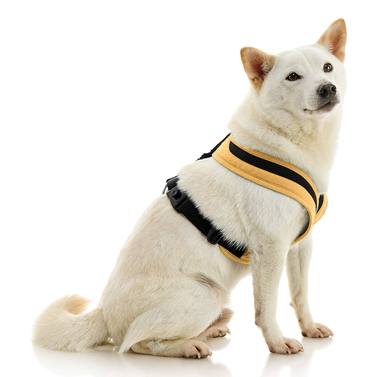 Escape Free Comfort X One