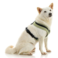 Escape Free Comfort X One