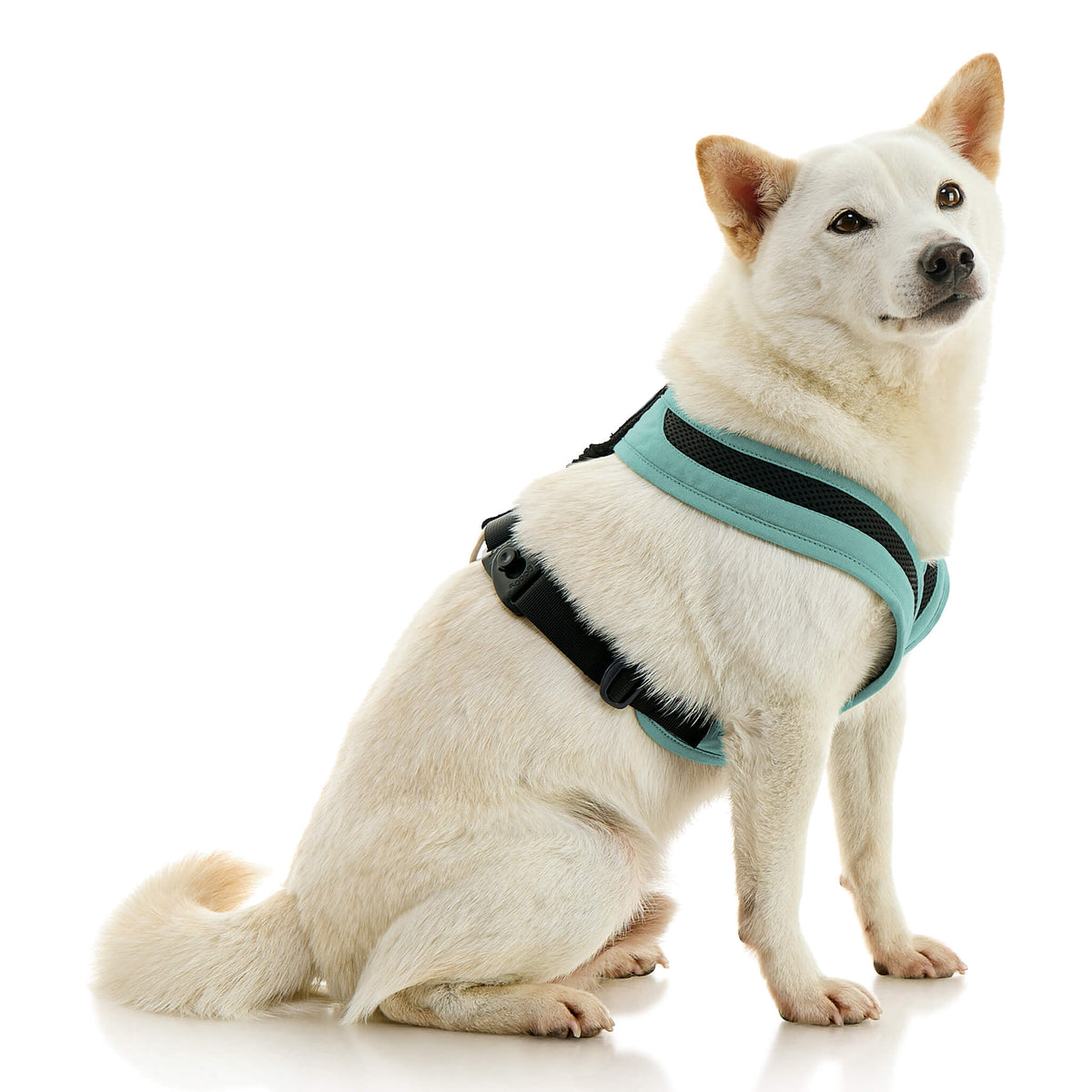 Escape Free Comfort X One