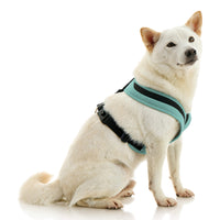 Escape Free Comfort X One