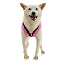 Escape Free Comfort X One