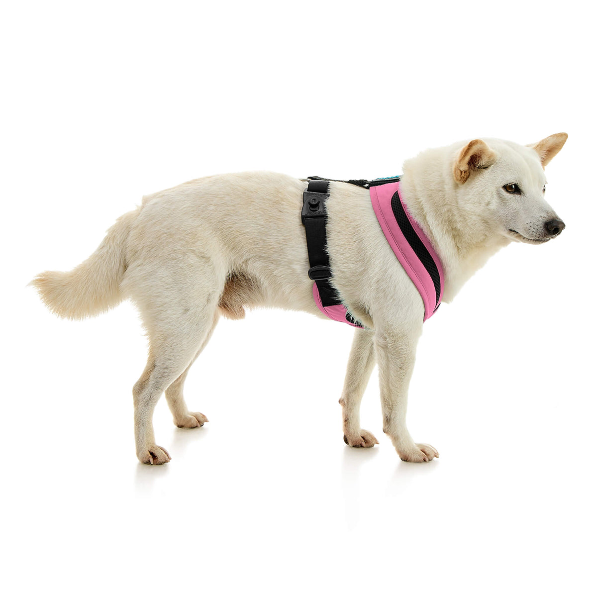 Escape Free Comfort X One