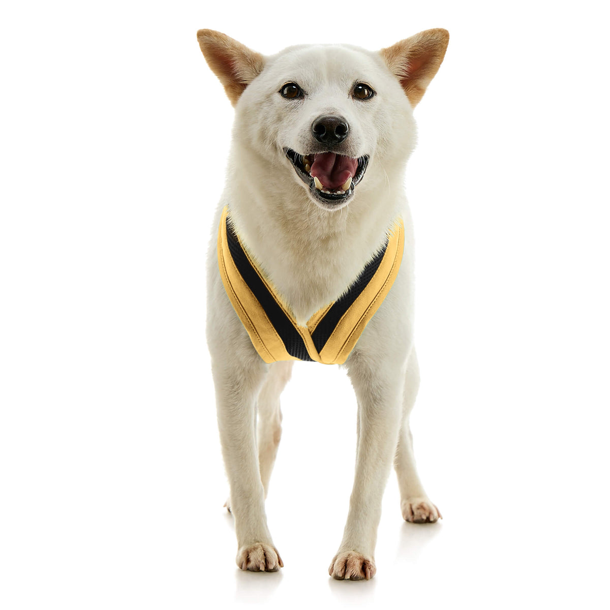 Escape Free Comfort X One