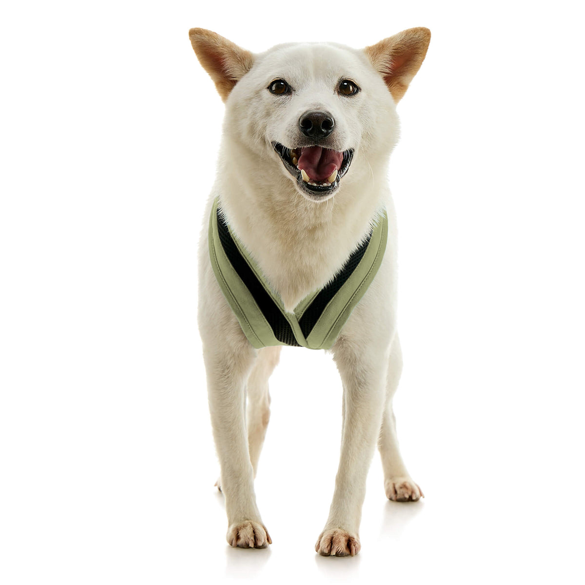 Escape Free Comfort X One