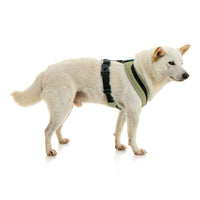 Escape Free Comfort X One