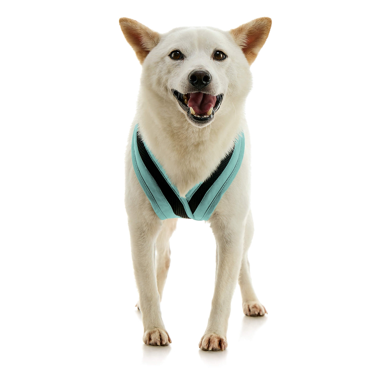 Escape Free Comfort X One