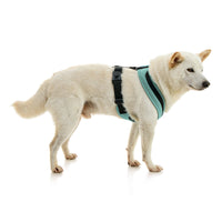 Escape Free Comfort X One