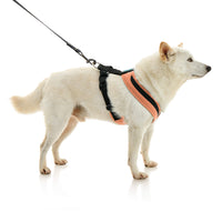 Escape Free Comfort X One