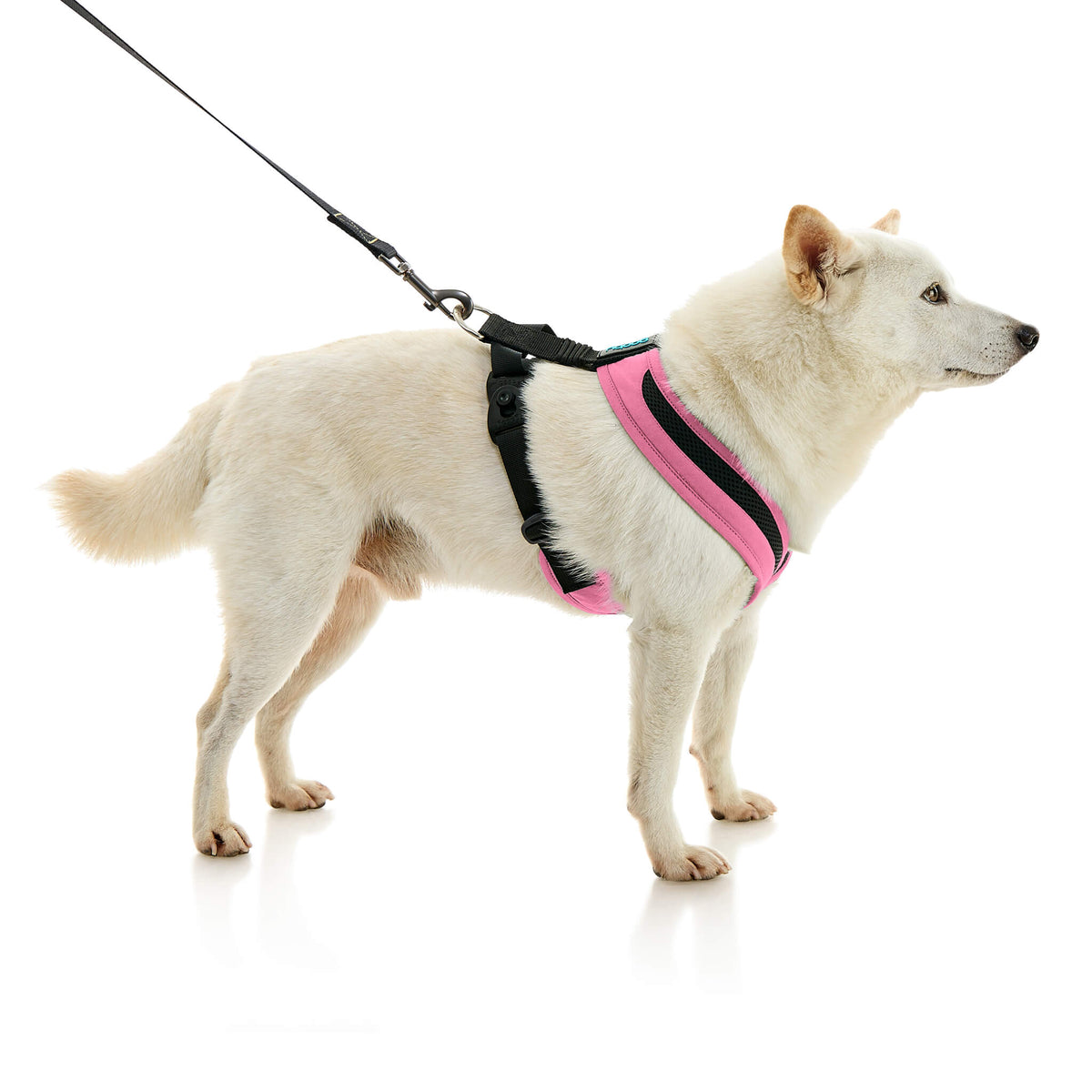 Escape Free Comfort X One