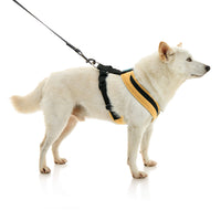 Escape Free Comfort X One