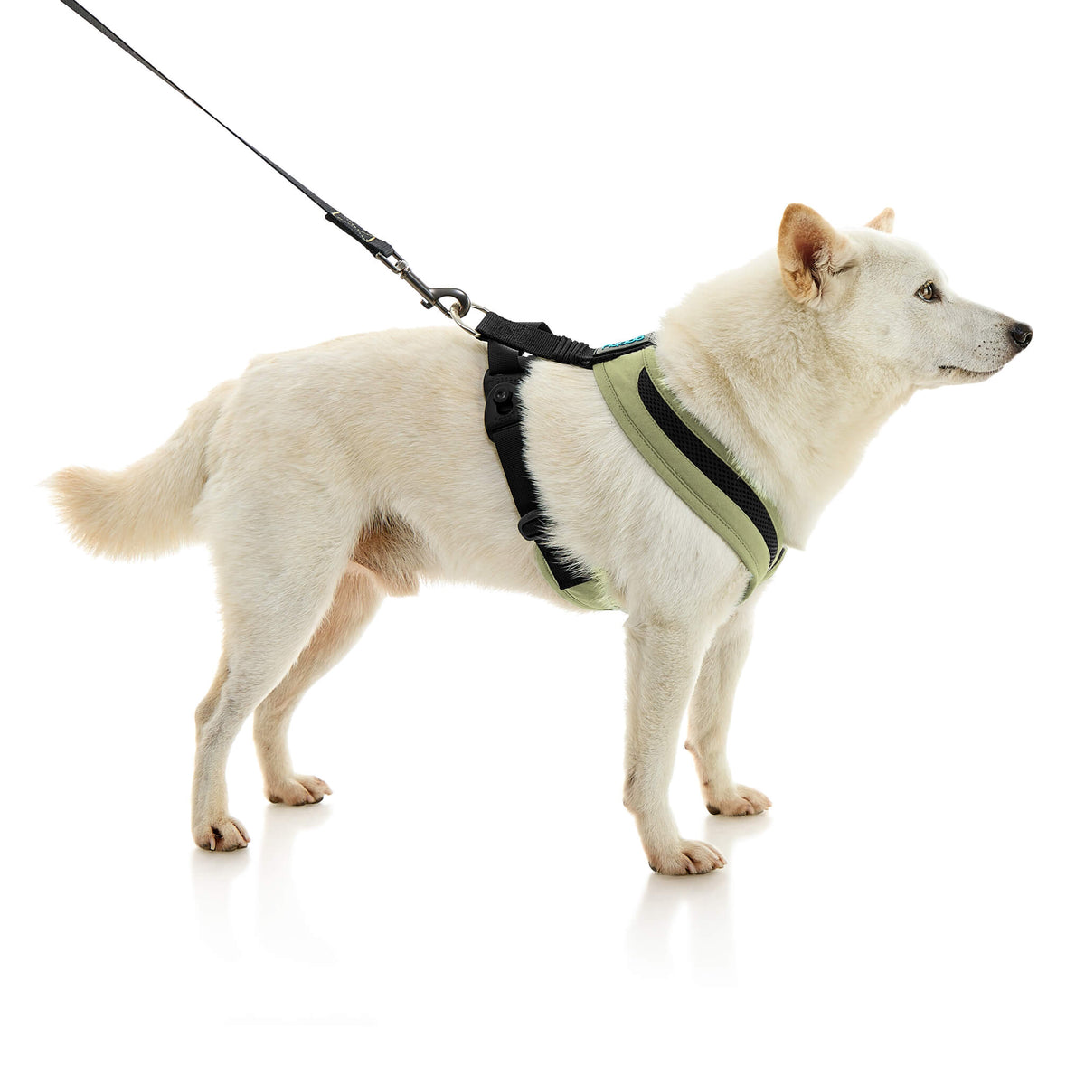 Escape Free Comfort X One