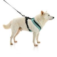 Escape Free Comfort X One