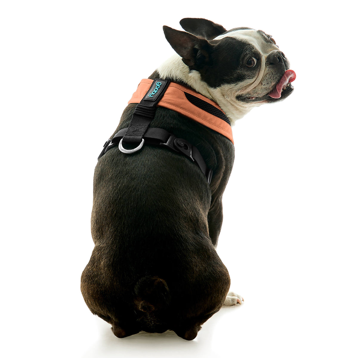 Escape Free Comfort X One