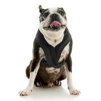 Escape Free Comfort X One