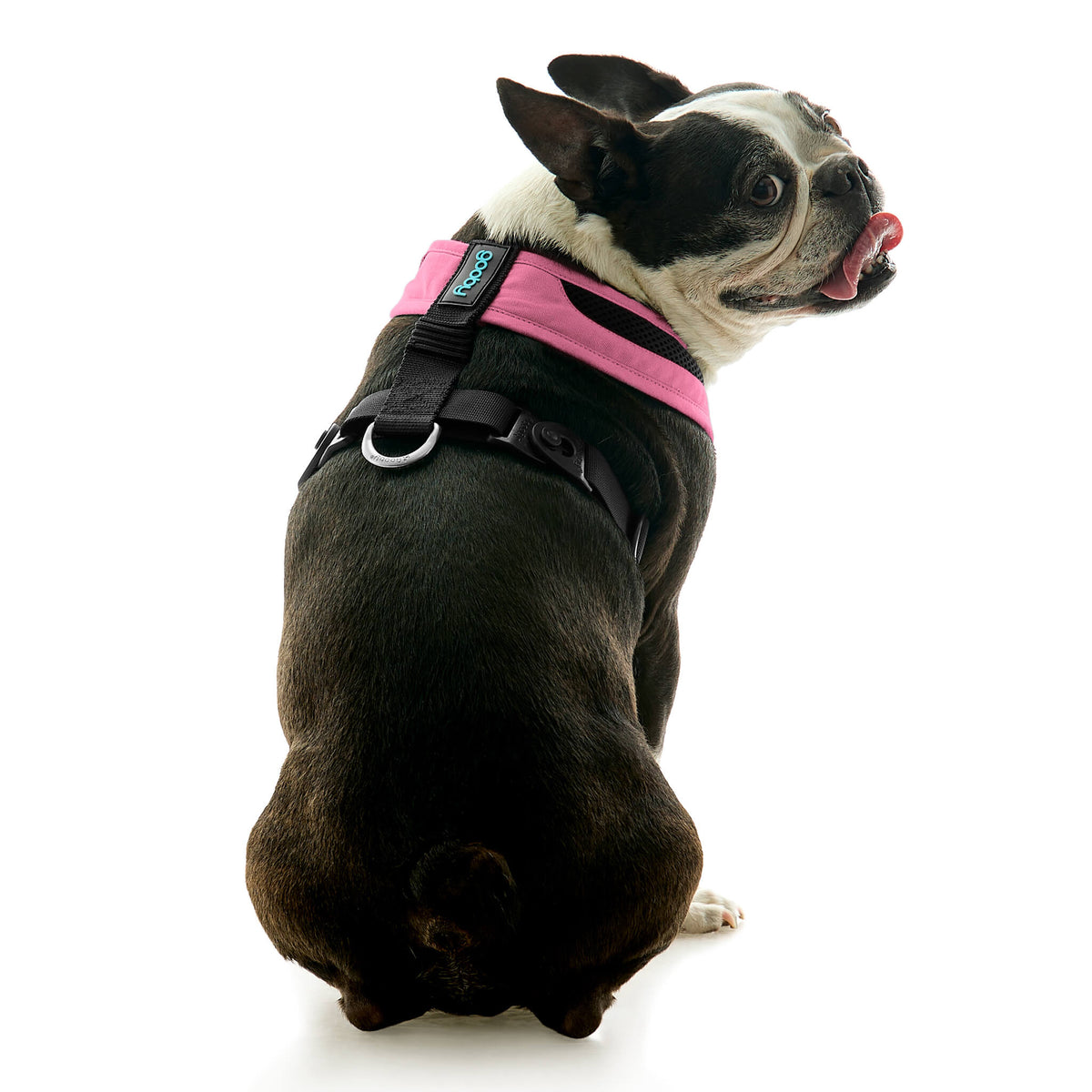 Escape Free Comfort X One