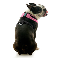 Escape Free Comfort X One