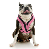 Escape Free Comfort X One