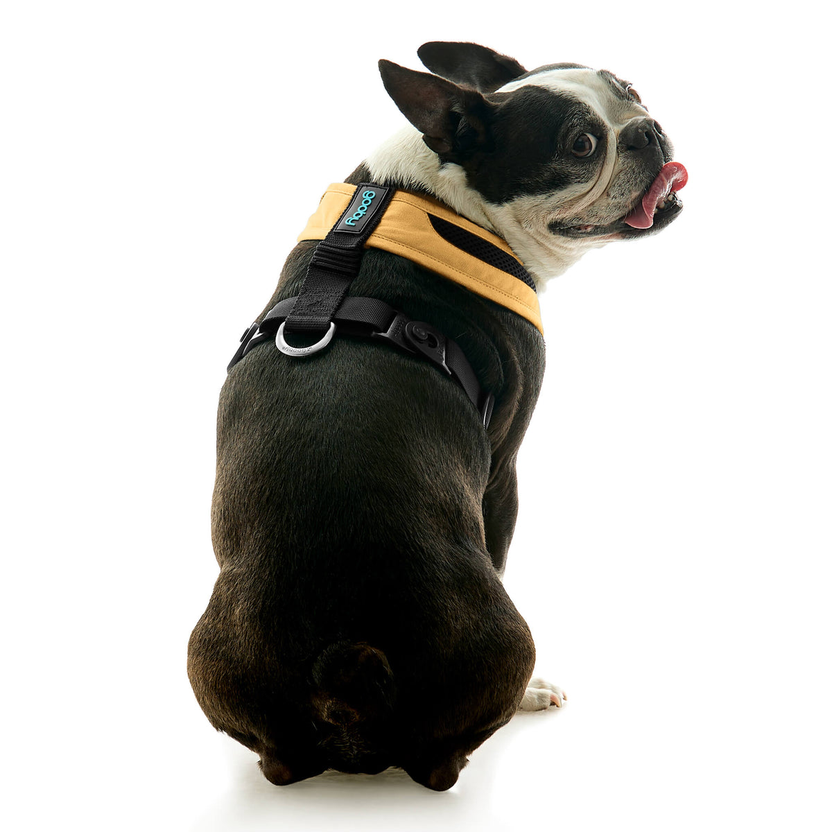 Escape Free Comfort X One