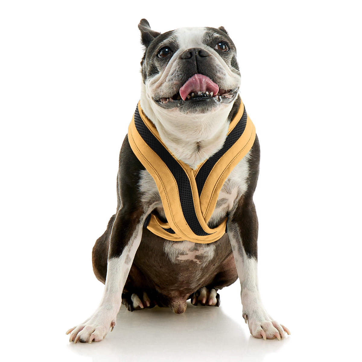 Escape Free Comfort X One