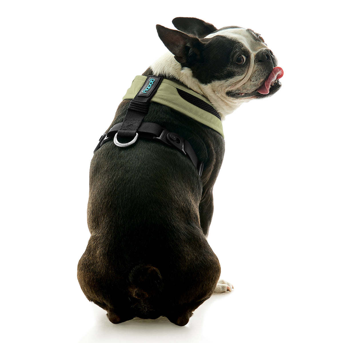 Escape Free Comfort X One