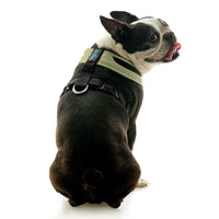 Escape Free Comfort X One