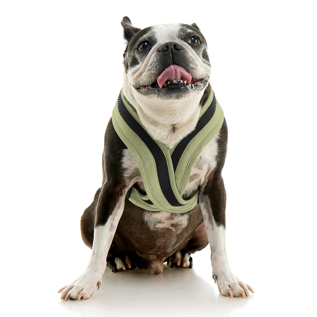 Escape Free Comfort X One