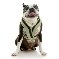 Escape Free Comfort X One