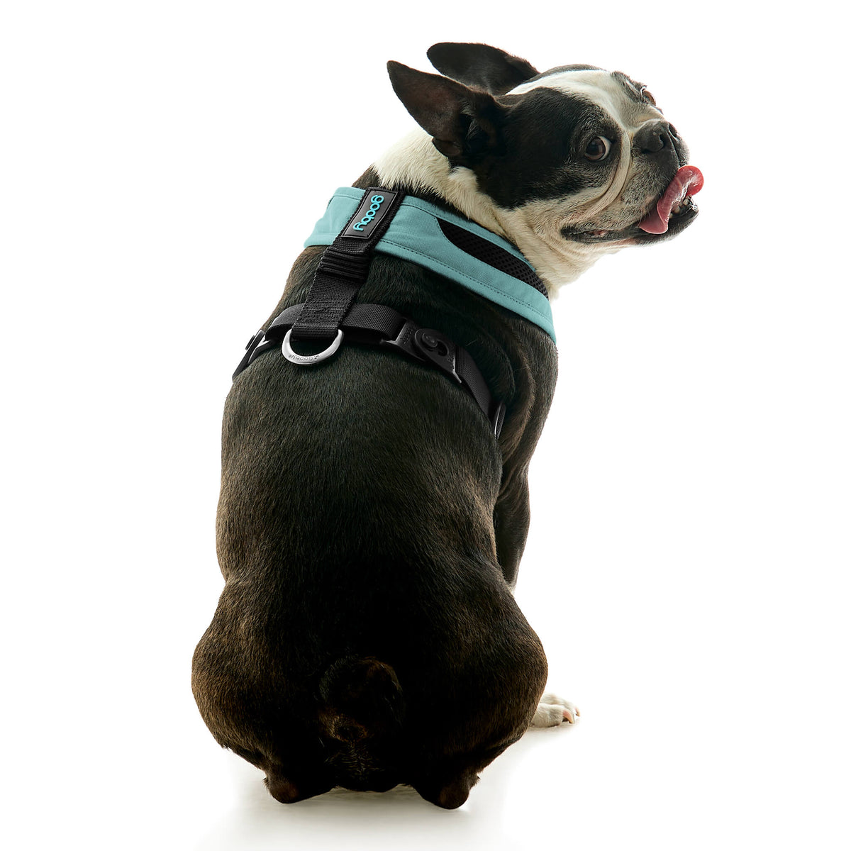 Escape Free Comfort X One