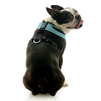 Escape Free Comfort X One