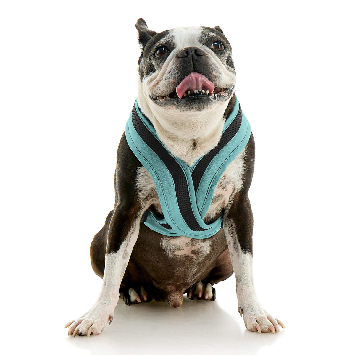 Escape Free Comfort X One