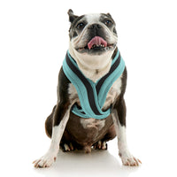 Escape Free Comfort X One