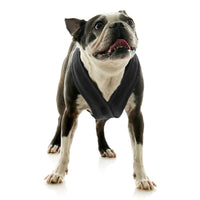 Escape Free Comfort X One