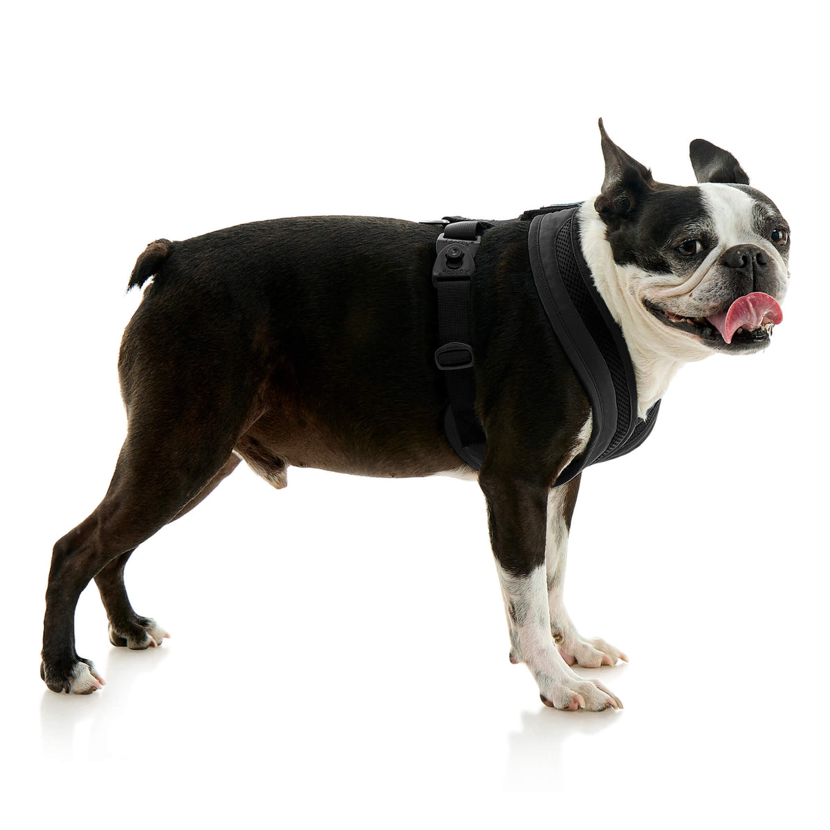 Escape Free Comfort X One