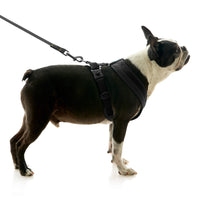 Escape Free Comfort X One