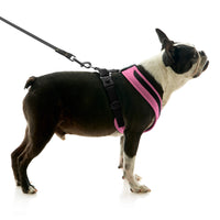 Escape Free Comfort X One