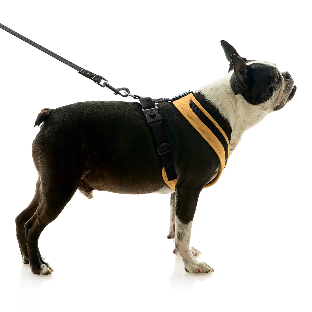 Escape Free Comfort X One