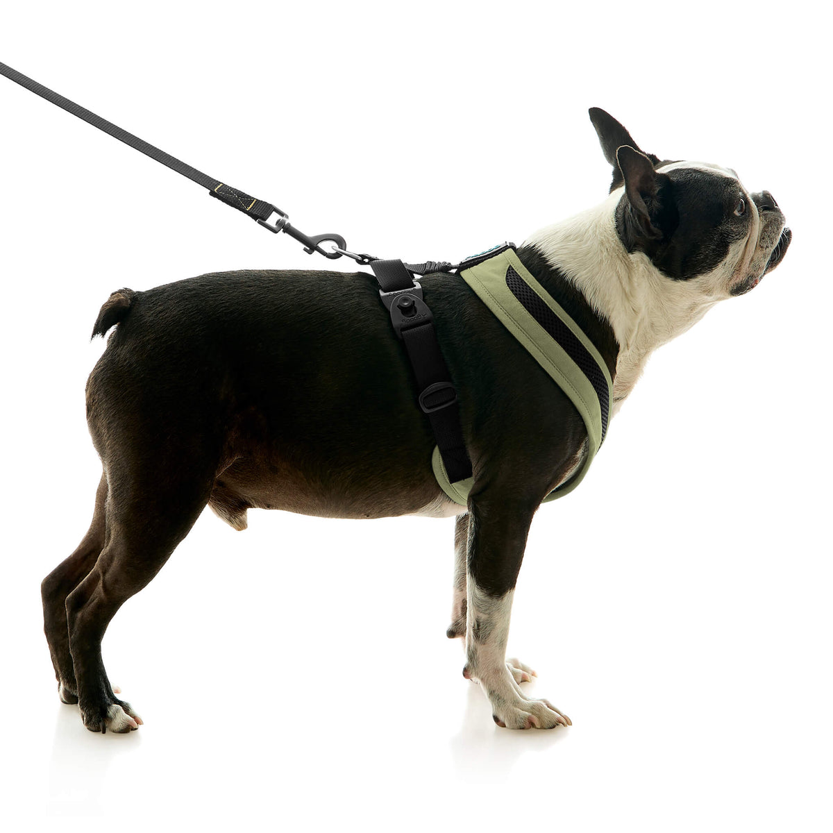 Escape Free Comfort X One