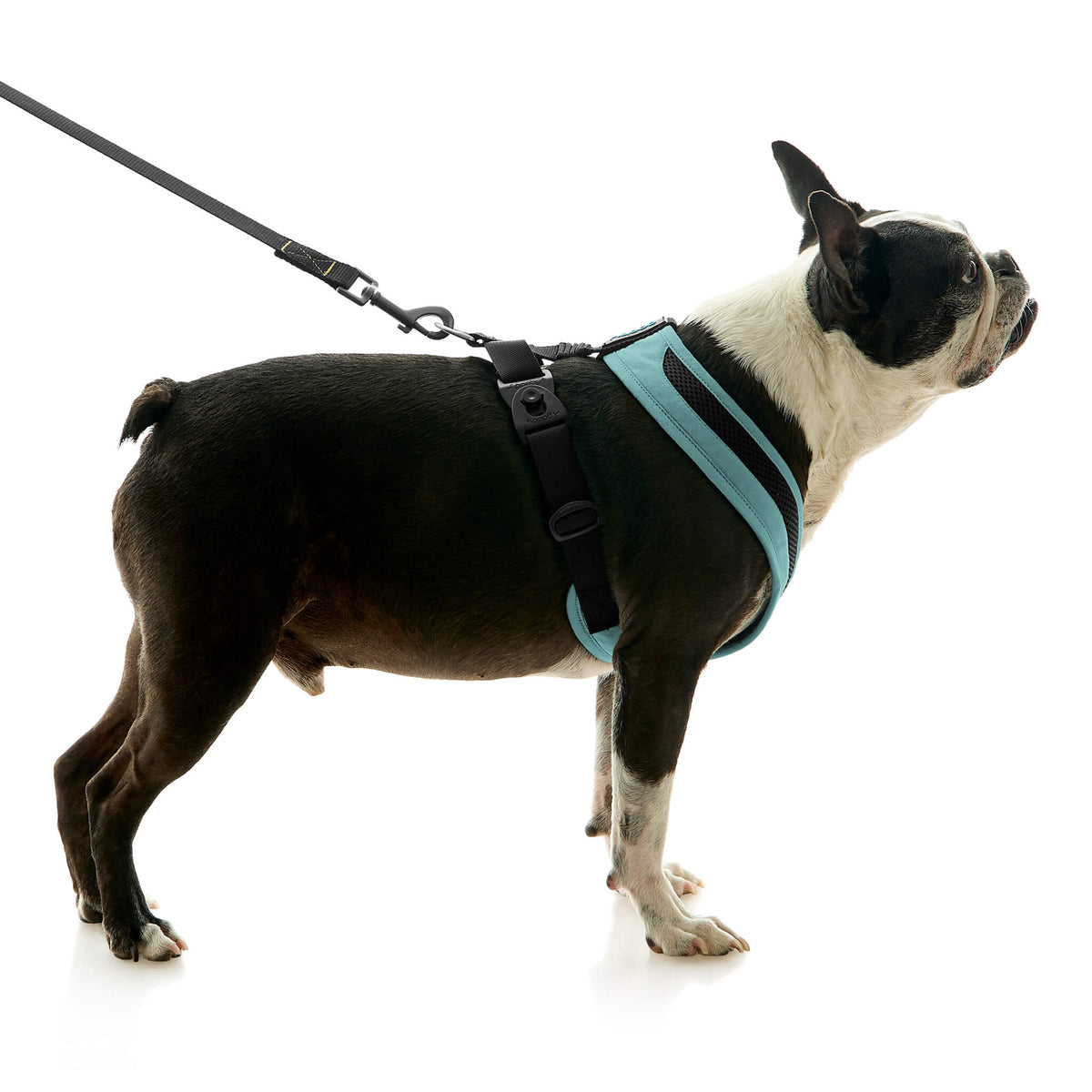 Escape Free Comfort X One