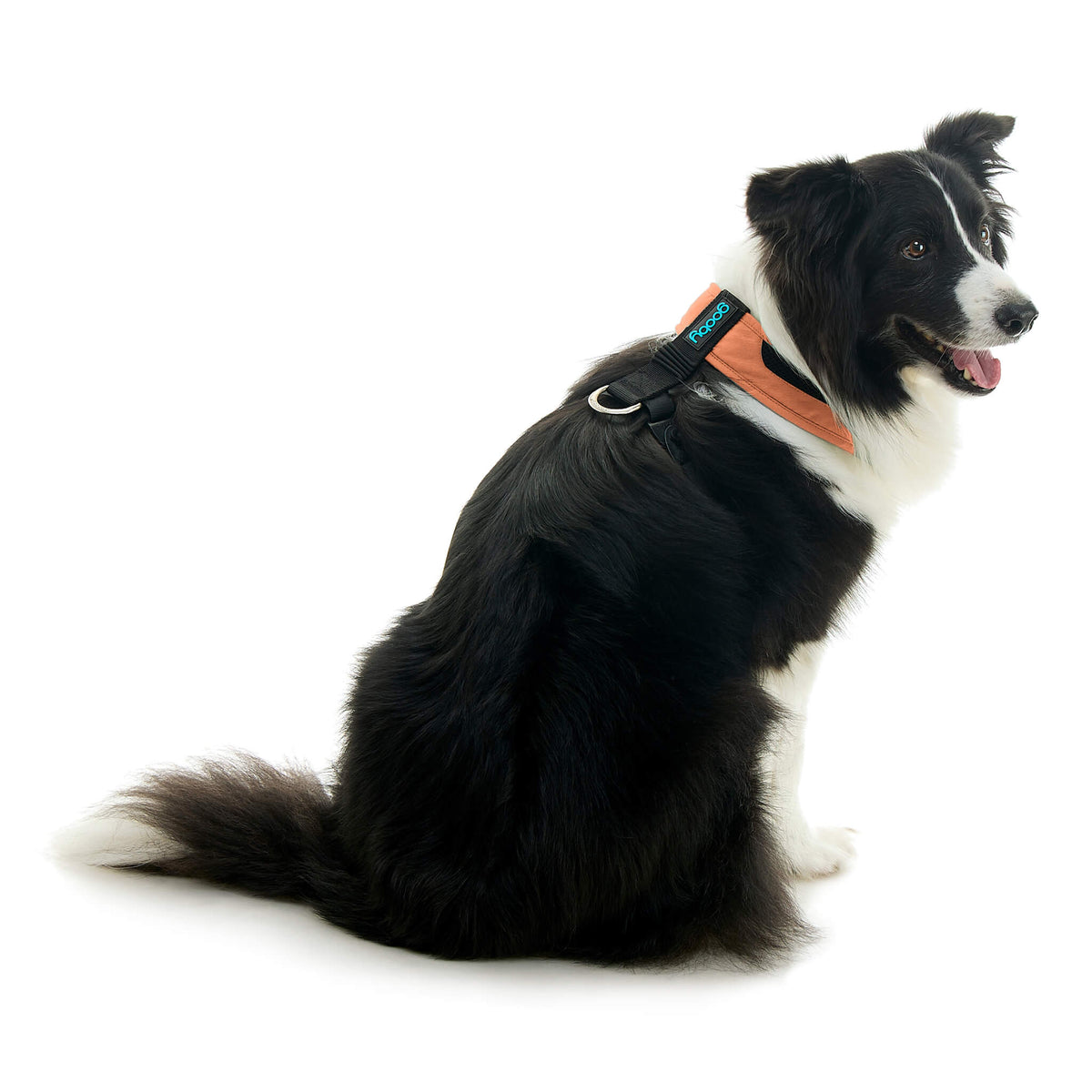 Escape Free Comfort X One