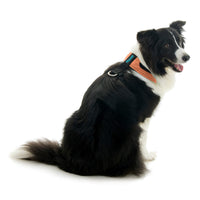 Escape Free Comfort X One