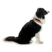 Escape Free Comfort X One