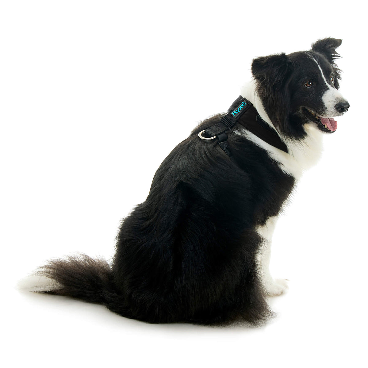 Escape Free Comfort X One