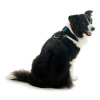 Escape Free Comfort X One