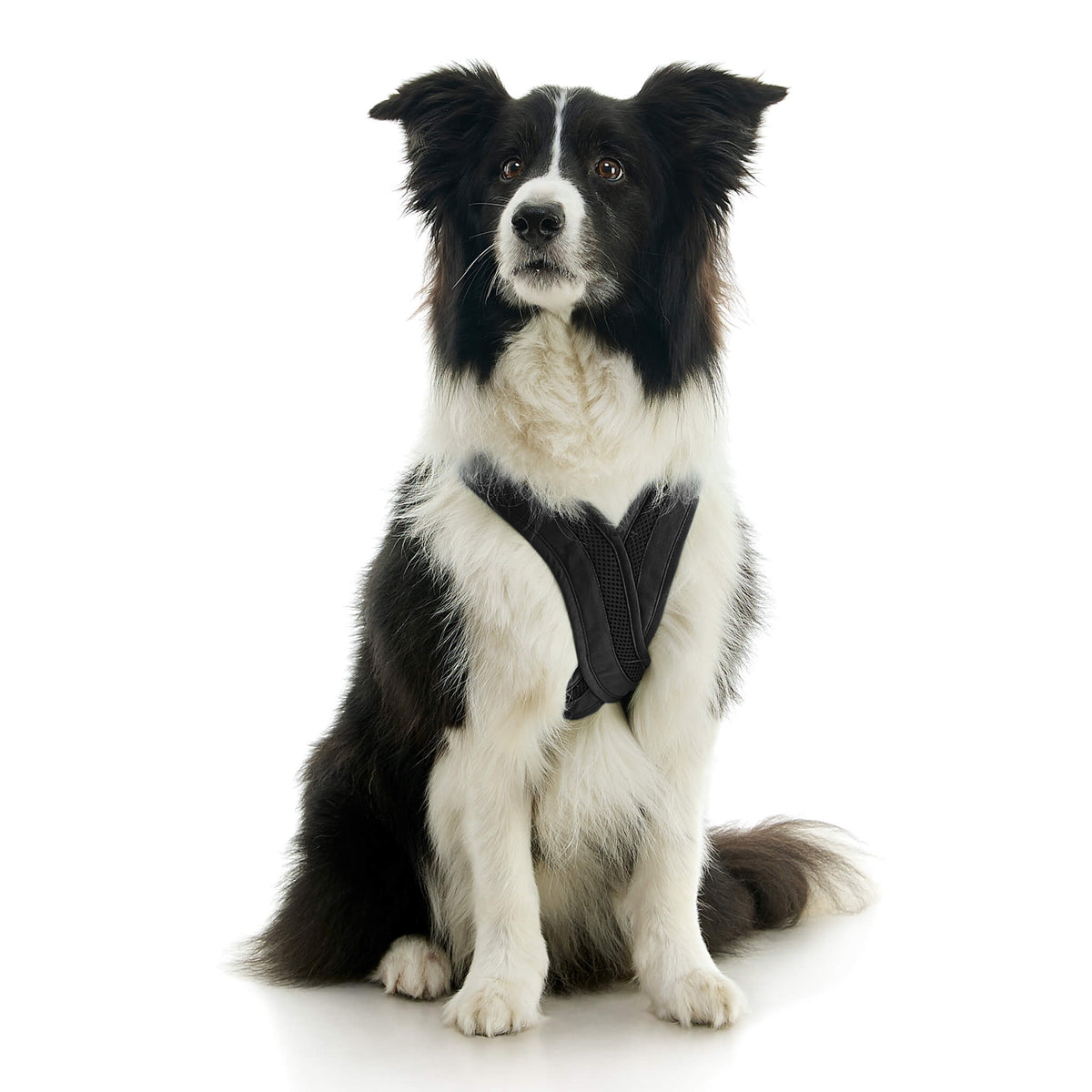 Escape Free Comfort X One