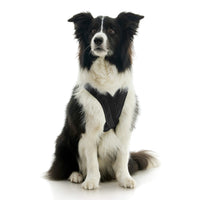 Escape Free Comfort X One