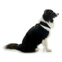 Escape Free Comfort X One