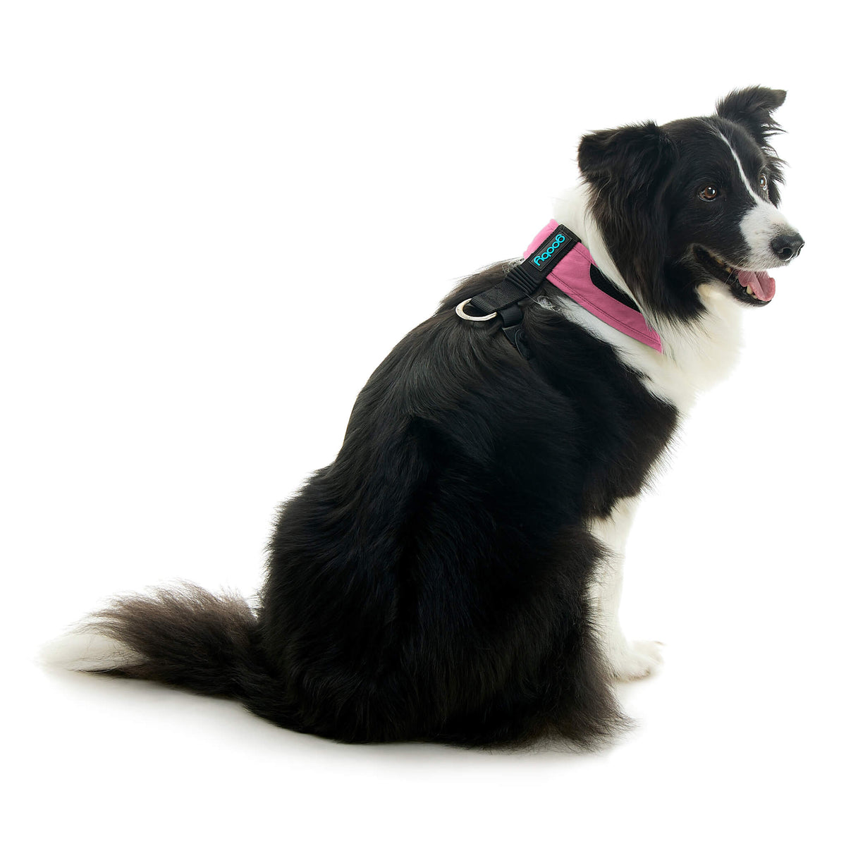 Escape Free Comfort X One